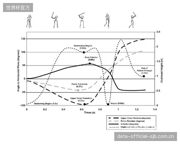 面对满是曲线的生物力学报告，我们的教练员真的知道下一步该怎么做吗？
